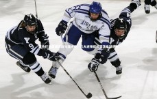 友博体育官网_恩佐行为离谱恐陷生涯绝境，三大连锁反应震荡足球世界